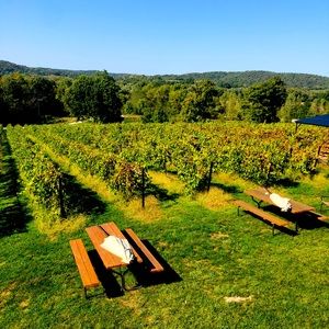 Meet your Posher, Bethany